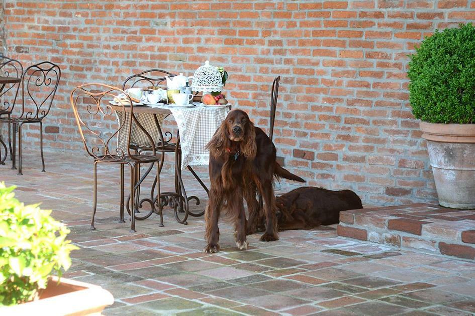 Tenuta Degli Angeli Rossi 아스티 외부 사진